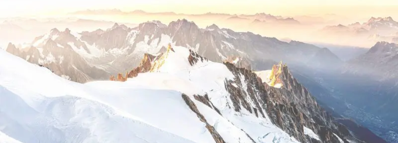 DISTILLERIE DU MONT BLANC