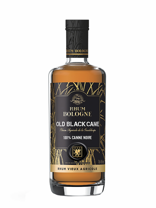 BOLOGNE Old Black Cane 100% Canne Noire - visuel secondaire - Selections