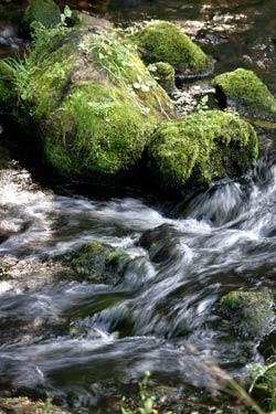 Water and brewing Eau et brassage